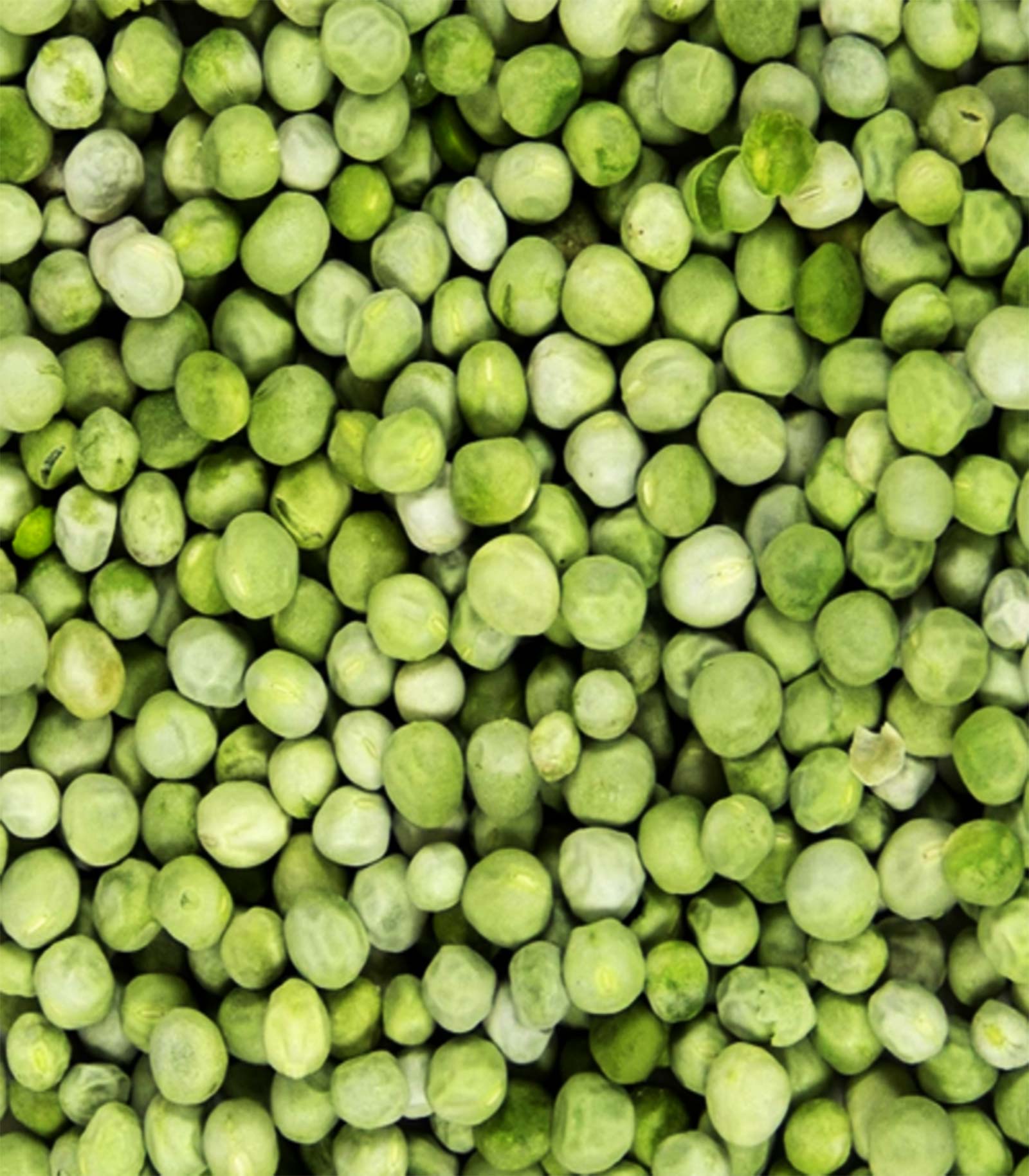 Chícharo Liofilizado