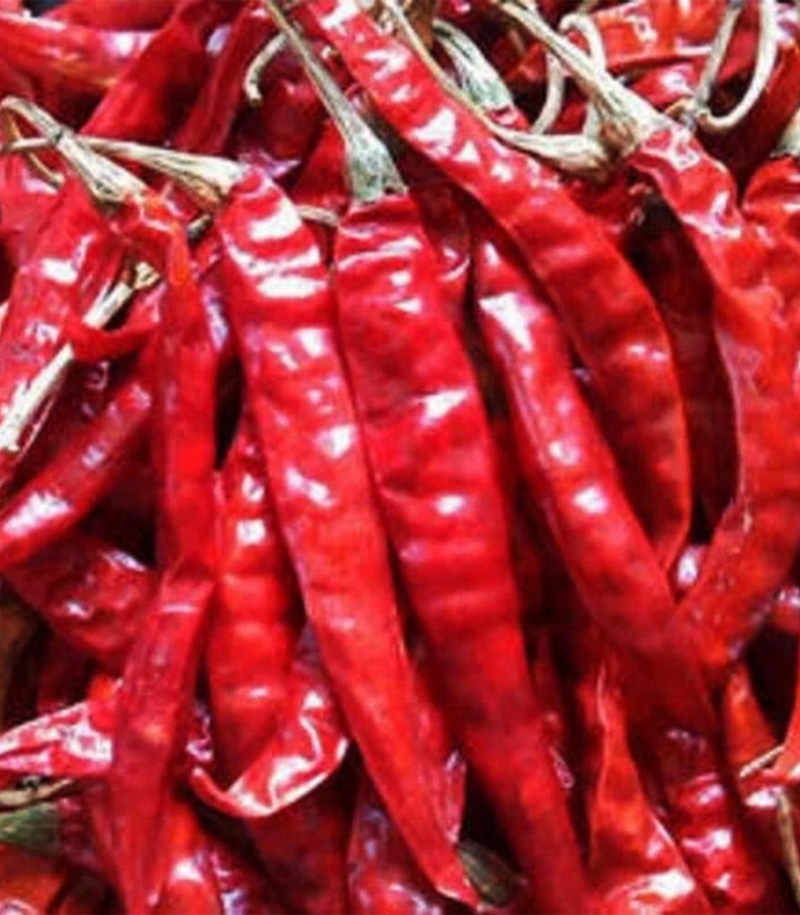 Chile de Árbol Liofilizado