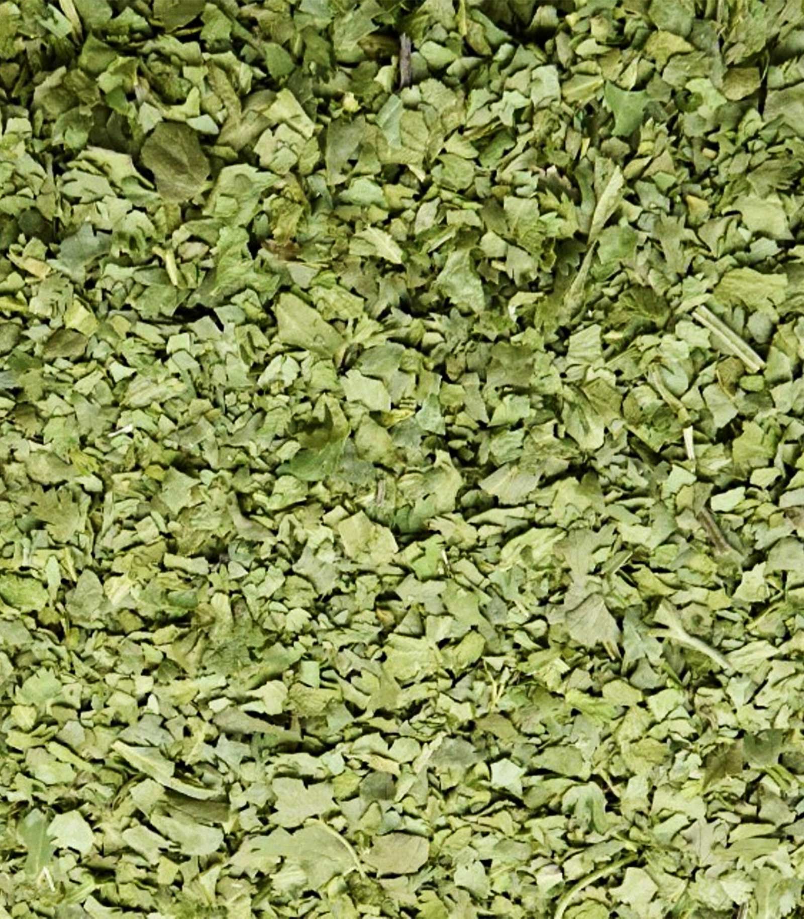 Cilantro Liofilizado