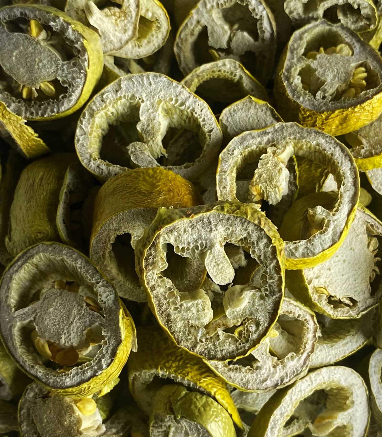 Chile Jalapeño Liofilizado